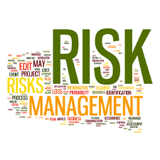 Project Risk Management & Control